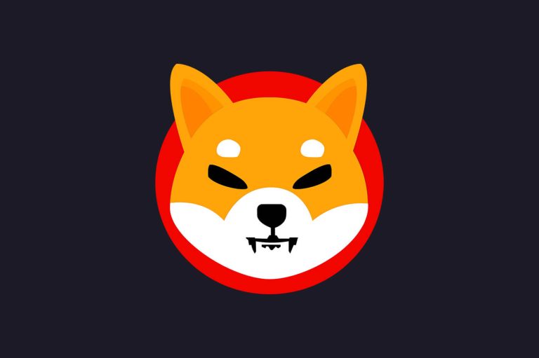 LE SHIBA INU PEUT-IL AU MOINS ATTEINDRE 0,5 US$ EN 2022 ? EXPLORER