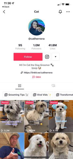 L'utilisateur non vérifié de TikTok Cat the Dog Groomer (@catherrera) compte 1 million d'abonnés