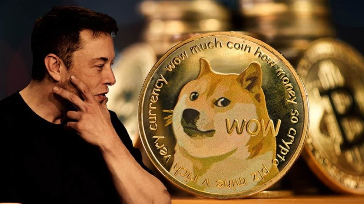 Dogecoin a chuté de 90% depuis que « The Dogefather » a fait ses débuts sur SNL