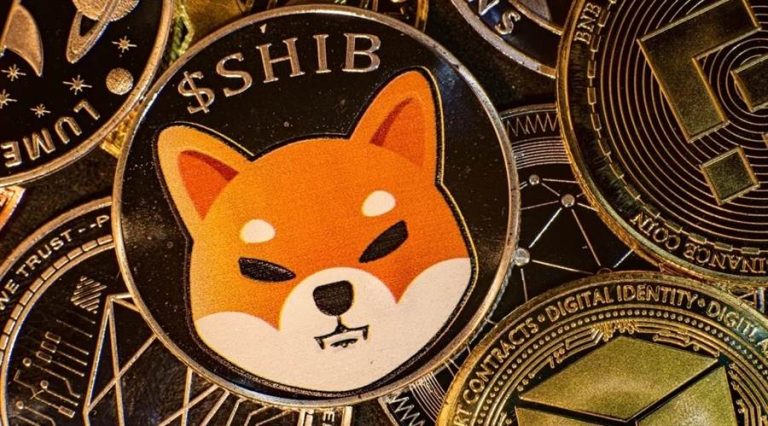 Shiba Inu et Dogecoin perdent leur élan