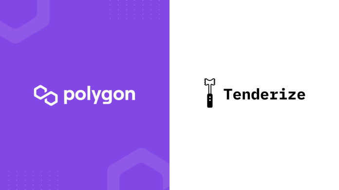 Tenderize lance en direct sur Polygon pour débloquer la liquidité des actifs jalonnés Web3 