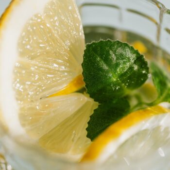 The Nightly Mint: récapitulatif quotidien du NFT