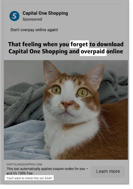 exemples de copie d'annonces émotionnelles - l'annonce Facebook de la capitale avec un chat paniqué