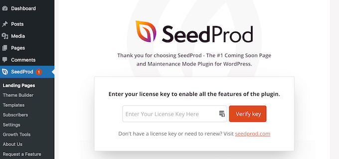 Clé de licence SeedProd