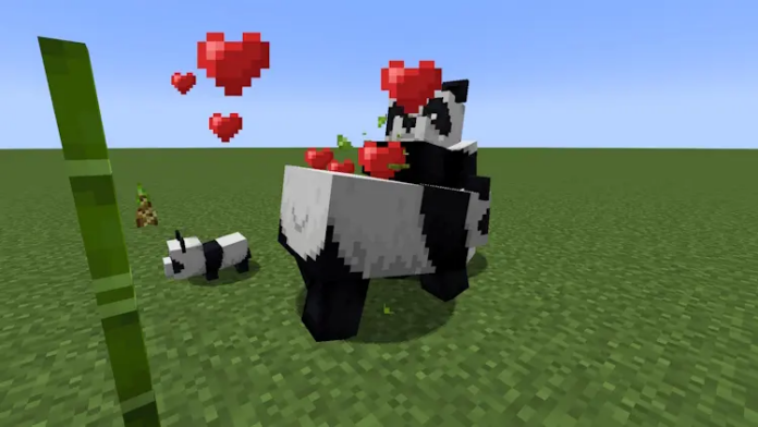 Comment élever des pandas dans Minecraft Comment élever des pandas dans Minecraft