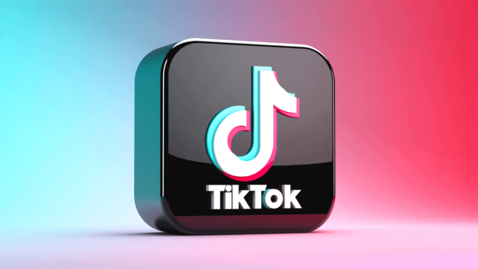 Les 8+ Meilleurs Niches TikTok de 2024 pour Devenir Viral Facilement