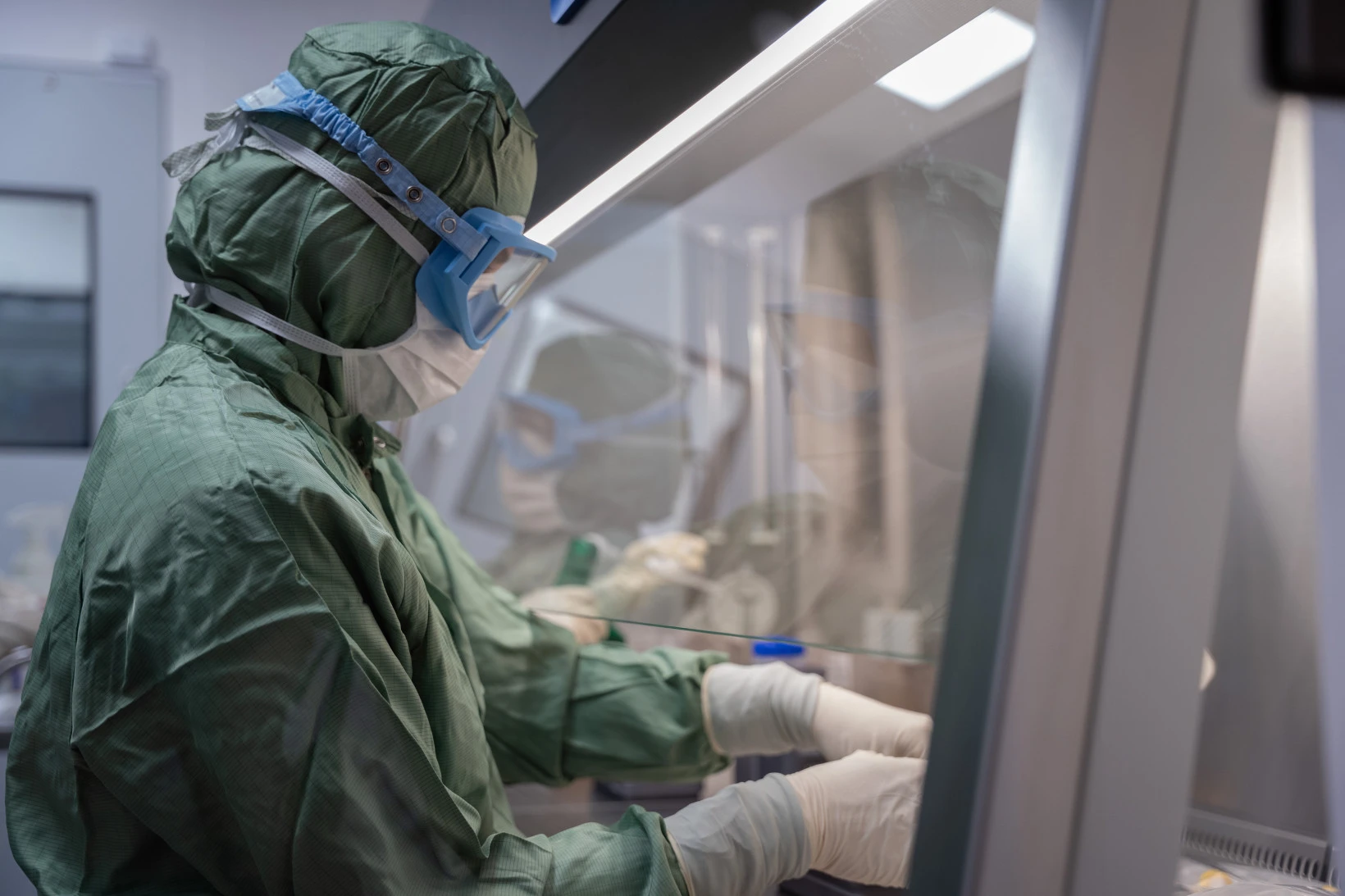 Start-up de cellules souches annonce un « point d’inflexion » pour la médecine avec la production de masse imminente