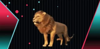 Combien Coûte le Lion sur TikTok Live ? Le Cadeau Légendaire Décrypté Animation du Lion sur TikTok Live, le cadeau virtuel premium le plus populaire de la plateforme.