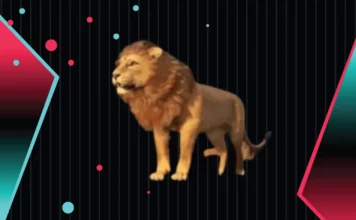 Combien Coûte le Lion sur TikTok Live ? Le Cadeau Légendaire Décrypté Animation du Lion sur TikTok Live, le cadeau virtuel premium le plus populaire de la plateforme.